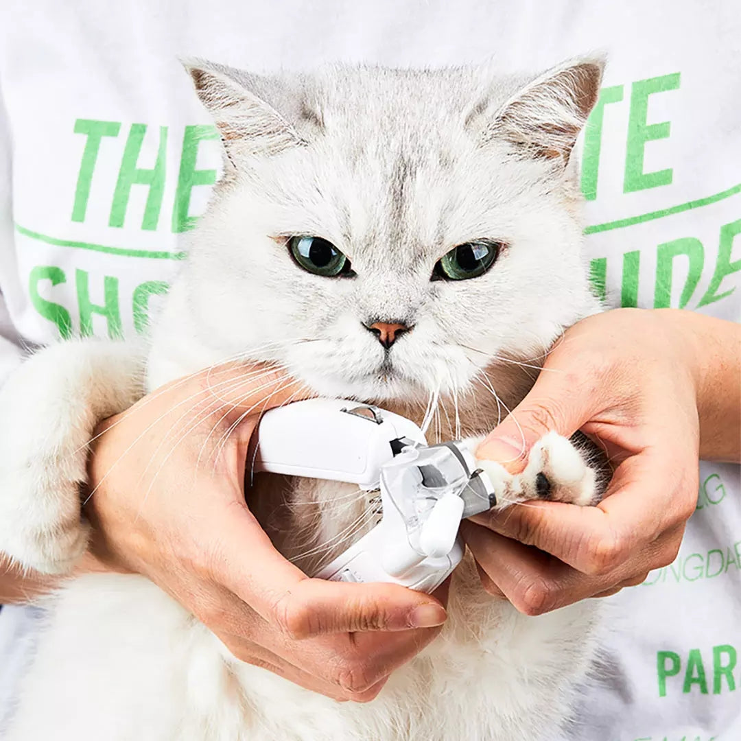 Professional LED Pet Nail Clipper Scissors: The Ultimate Tool for Your Pet's Grooming